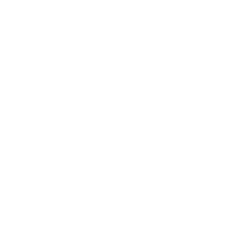 Lien github